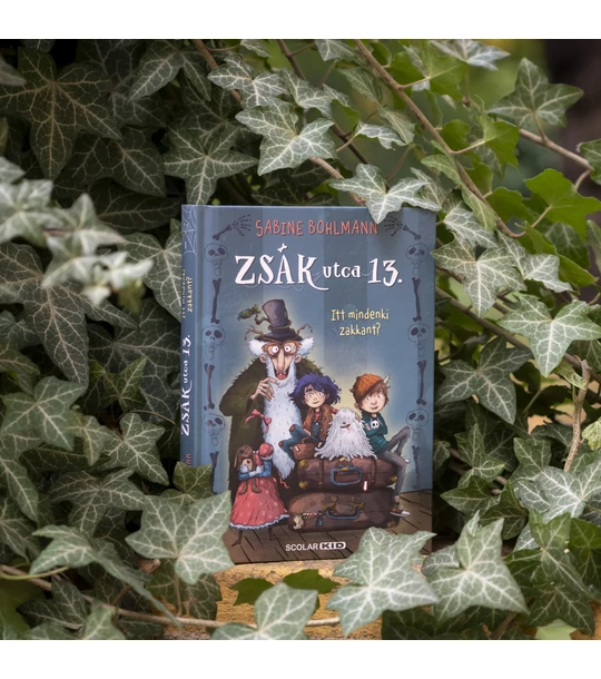 Itt mindenki zakkant? – Zsák utca 13.