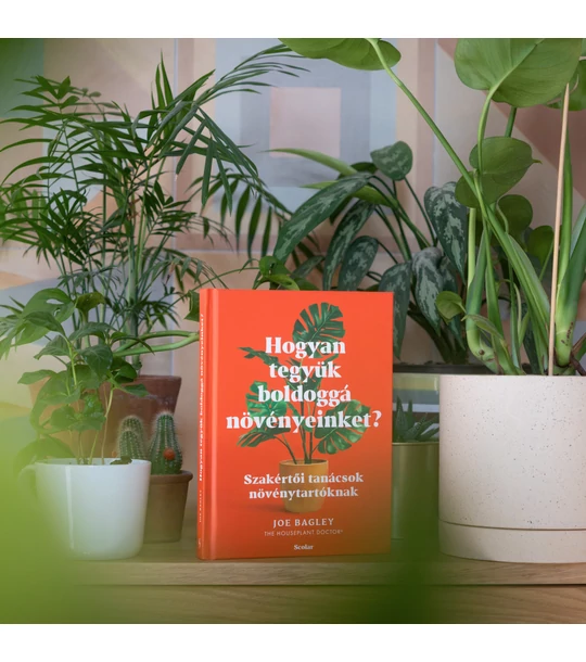 Hogyan tegyük boldoggá növényeinket? – Szakértői tanácsok növénytartóknak