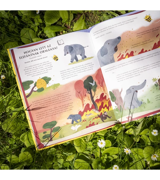 A méhek titkos élete