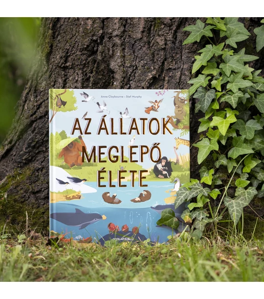 Az állatok meglepő élete