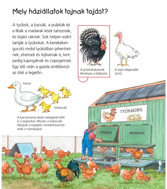 A vidéki élet lexikona – Mit? Miért? Hogyan? Mini
