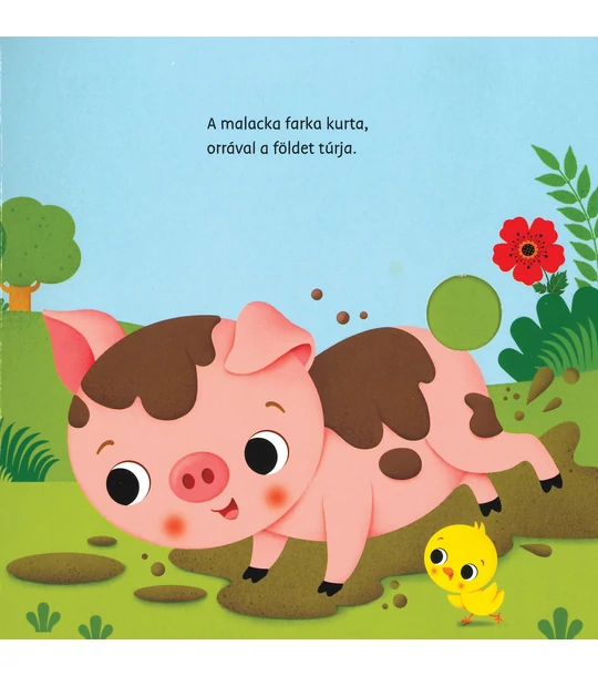 Babák ujjas játék könyve