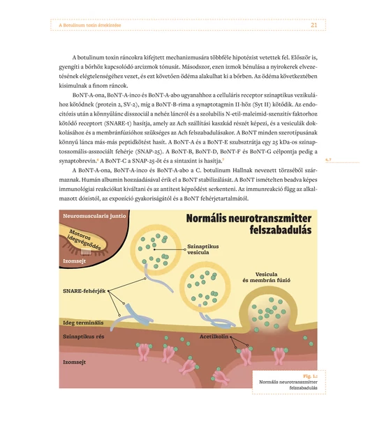 Esztétikai arckezelések – Botulinumtoxin-kezelés és hialuronsav-töltés