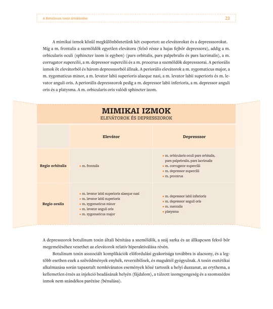Esztétikai arckezelések – Botulinumtoxin-kezelés és hialuronsav-töltés