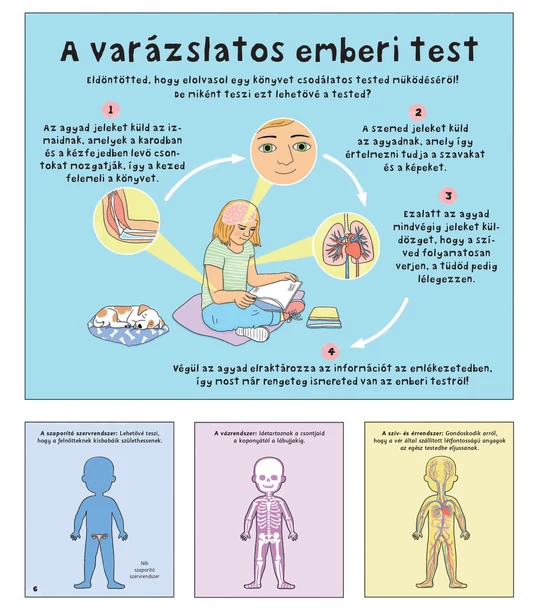 Hogyan működik az emberi test? – A csontoktól az idegrendszerig, a szervrendszerektől az érzékelésig