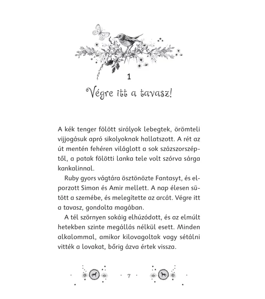 A kicsi csoda (Lósuttogó Suli 4.)