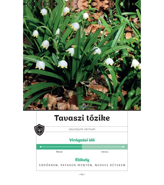 Mi nyílik most? – Kora tavasz