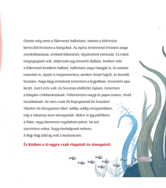 Születésmese – A bennem növekvő világ