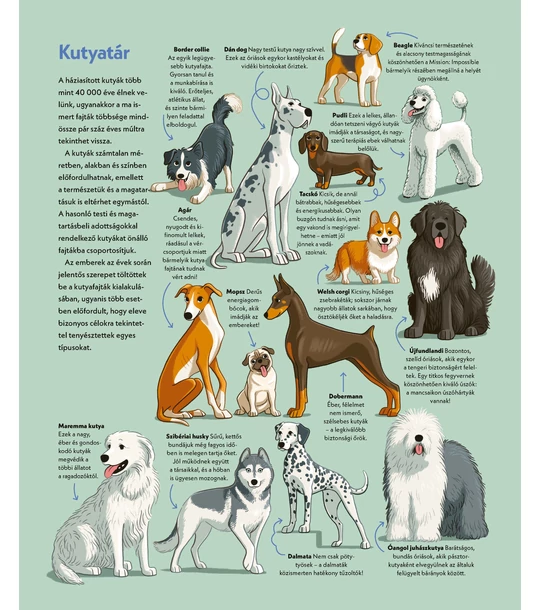Kutyák akcióban – Hősies és hűséges társaink a mindennapokban