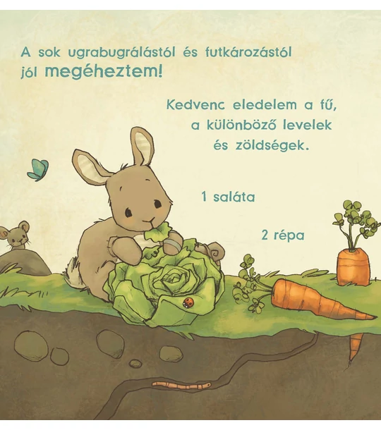 Legkedvesebb plüssállatom: a kisnyuszi