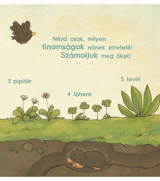 Legkedvesebb plüssállatom: a kisnyuszi