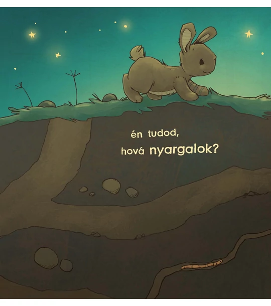 Legkedvesebb plüssállatom: a kisnyuszi