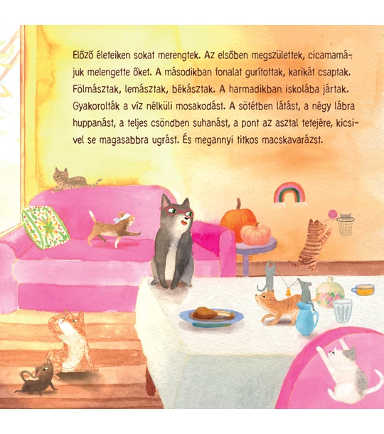 Bajusz és Mamusz (Két Cica Könyvek 3.)