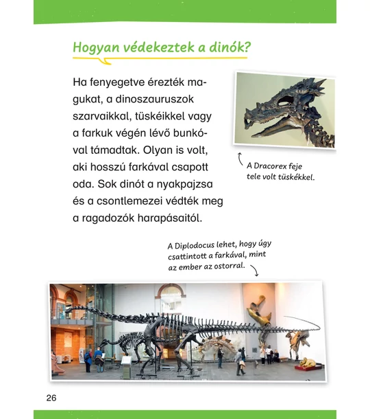 Dinoszauruszok (Mit? Miért? Hogyan? Olvasókönyv)