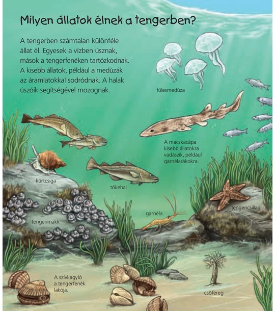 A tenger állatai – Mit? Miért? Hogyan? Mini (60.)