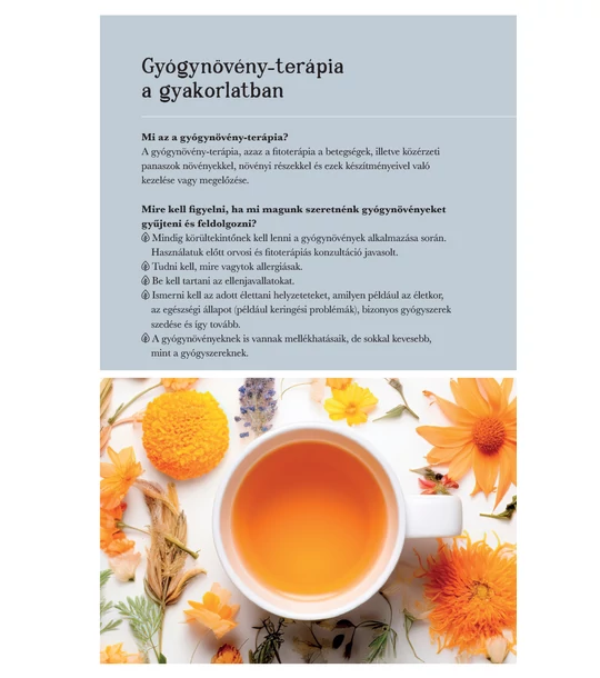 A házi patika gyógynövényei – Természetgyógyász a családban