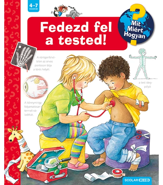 Fedezd fel a tested! – Mit? Miért? Hogyan? (9.)