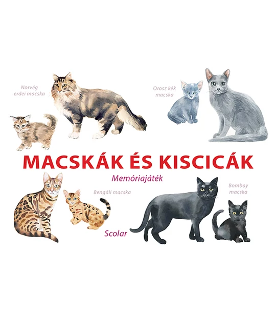 Macskák és kiscicák – Memóriajáték