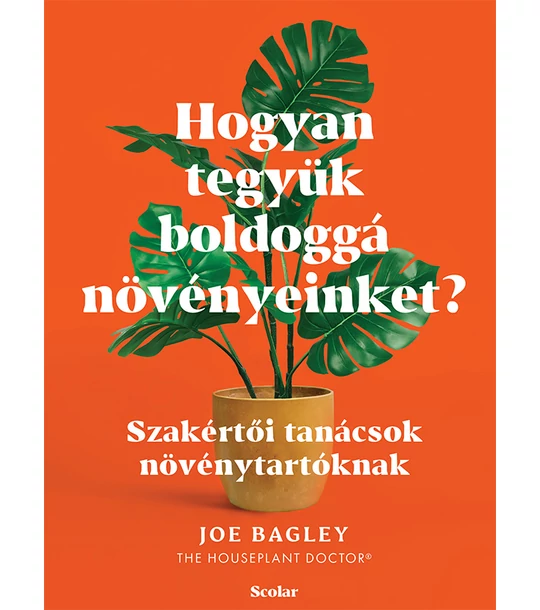 Hogyan tegyük boldoggá növényeinket? – Szakértői tanácsok növénytartóknak