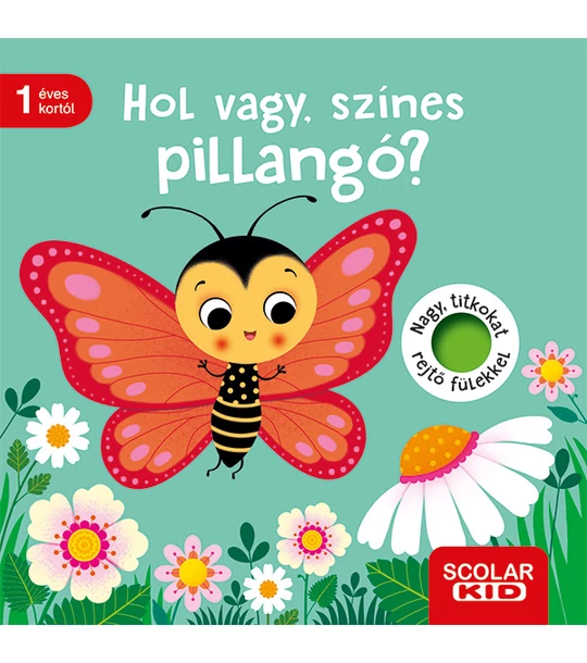Hol vagy, színes pillangó?