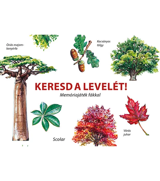 Keresd a levelét! – Memóriajáték fákkal