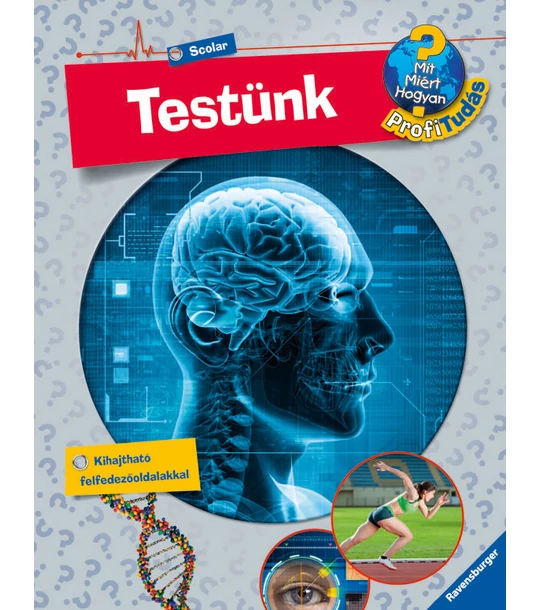 Testünk (Mit? Miért? Hogyan? Profi Tudás)