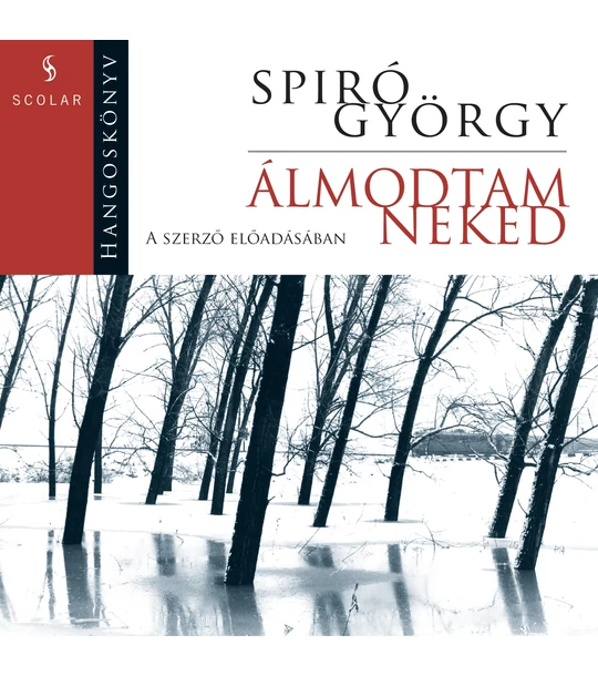 Álmodtam neked (CD-hangoskönyv) – A szerző előadásában