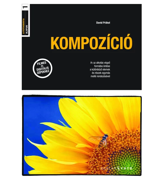 Kompozíció (A fotográfia alapjai)